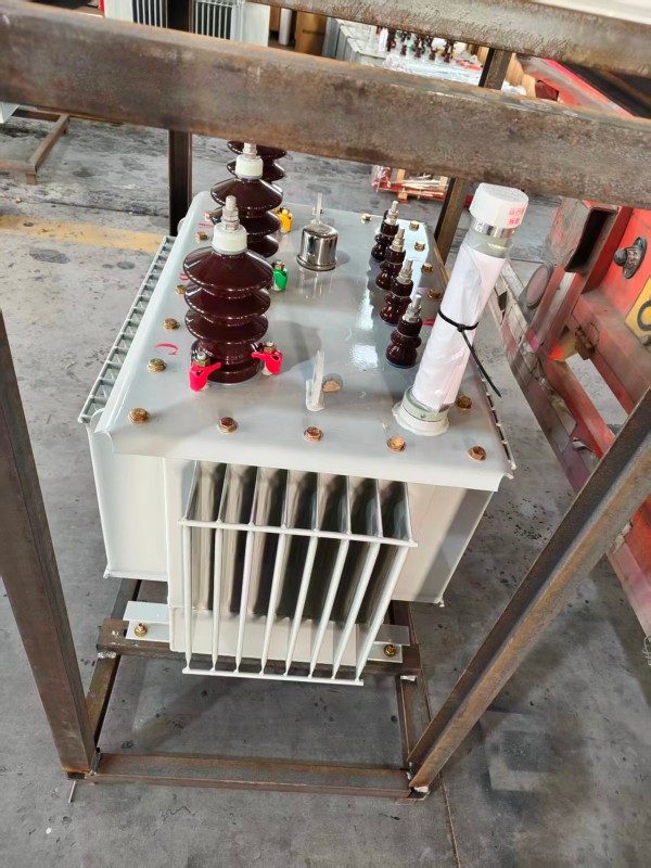S13‑1000kVA 安平安平安平油浸式变压器 大型厂区 S13 安平安平安平油浸式变压器